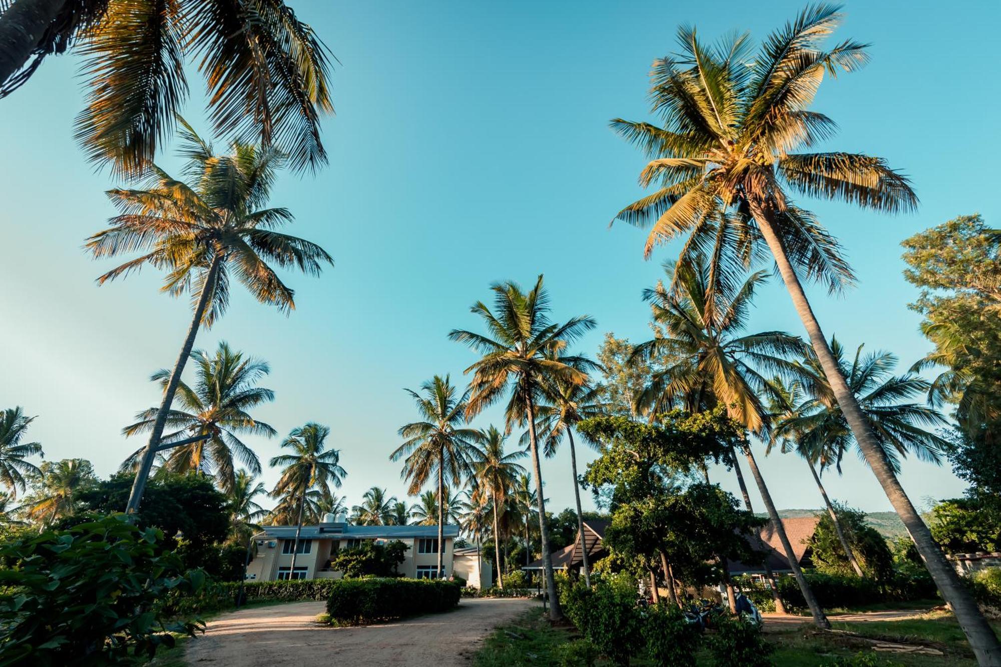 Commune18 Spa Resorts Чикмагалур Экстерьер фото